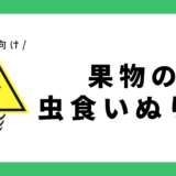 虫食いぬりえ（果物）｜幼児向け
